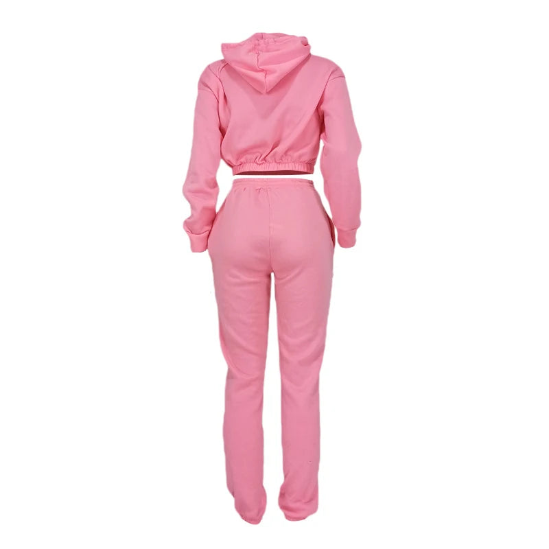 Women's Casual Matching Set - Sporty Hooded Top with Trousers for Fall and Winter. - GSINAS.com