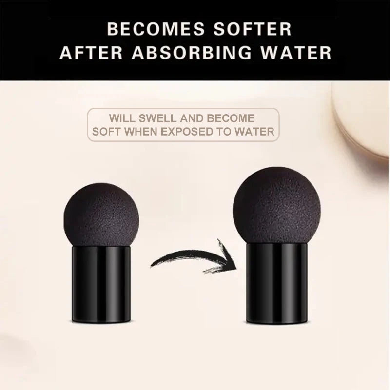 Mushroom Head Air Cushion BB Cream Foundation Cream for Face Makeup Concealer Cushion for Face Comestics Make Up Cushion Compact - GSINAS.com