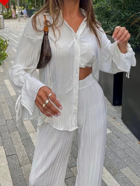 Two-piece Pleated Pants Suits Casual Chic