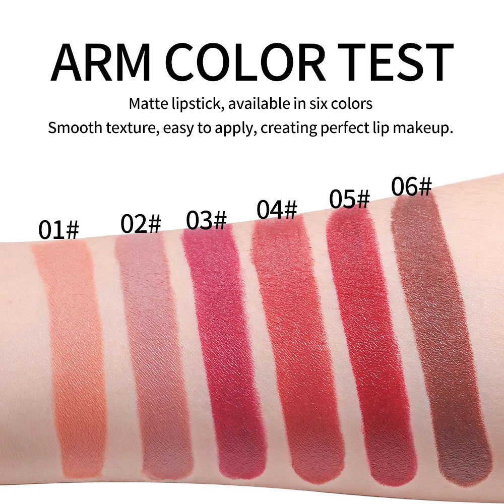 Waterproof Nude Matte Lipsticks Long Lasting Lip Stick Not Fading Sexy Red Pink Velvet Lipsticks Makeup Cosmetic Batom 6 Colors - GSINAS.com